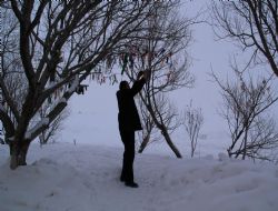 Çıldır Gölünde dilek ağacı çılgınlığı   